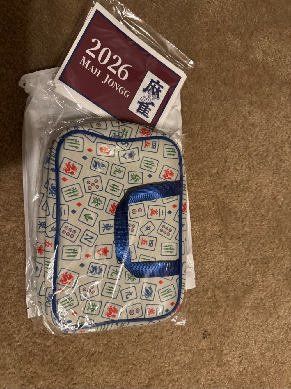 Portable Mahjong Tile Carrying Case - Blue/White